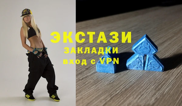 прущие грибы Верея