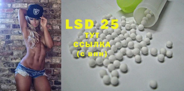 прущие грибы Верея
