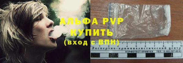 спайс Бородино