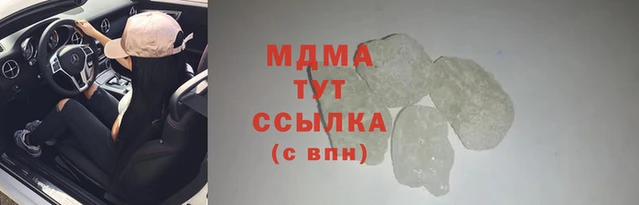 прущие грибы Верея