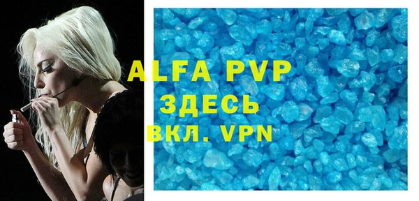 прущие грибы Верея